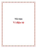 Tiểu luận:  Ví điện tử