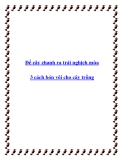 Để cây chanh ra trái nghịch mùa 3 cách bón vôi cho cây trồng