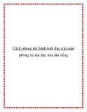 Cách phòng trừ bệnh ruồi đục trái mận phòng trị sâu đục trái sầu riêng