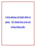 Cách phòng trị bệnh thối củ gừng - Kỹ thuật bao trái cây trồng bằng giấy