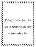 Phòng trị sâu bệnh cho lan và những bước thay chậu cho hoa lan