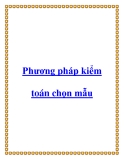 Phương pháp kiểm toán chọn mẫu: Hướng dẫn chi tiết và hiệu quả