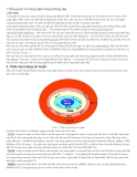 Công nghệ mạng không dây