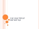 Các giải thuật sắp xếp nội: Tổng hợp đầy đủ, chi tiết nhất