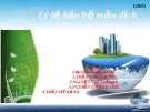 Bảo hộ mậu dịch là gì? - Định nghĩa, đặc điểm và các hình thức bảo hộ