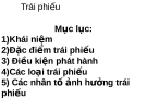 Quản trị tài chính: Kinh nghiệm đầu tư trái phiếu hiệu quả