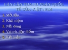 Cán cân thanh toán quốc tế của Việt Nam: Bài giảng chi tiết