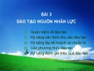 Đào tạo nguồn nhân lực: Bài 3 (Mới nhất)