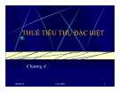 Thuế tiêu thụ đặc biệt: Chương 4 - Thuế