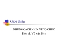 Những cách nhìn về tổ chức - TS Võ Văn Huy