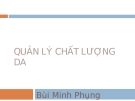 Quản lý chất lượng dự án Bùi Minh Phung: Kinh nghiệm và các bước thực hiện