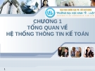 Hệ Thống Thông Tin Kế Toán: Tổng Quan về Hệ Thống Thông Tin Kế Toán - Chương 1