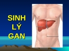 Bài giảng môn sinh lý: Gan