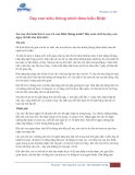 Dạy con thông minh theo kiểu nhật