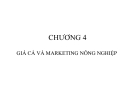 Bài giảng Giá cả và Marketing Nông nghiệp: Kinh nghiệm và chiến lược