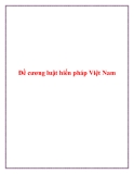 Đề cương Luật Hiến pháp Việt Nam chuẩn nhất