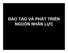 Bài giảng đào tạo và phát triển nguồn nhân lực: Yêu cầu bắt buộc của tổ chức