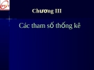 Bài giảng Thống kê doanh nghiệp: Các tham số thống kê - Chương 3 (Ths.Trần Ngọc Minh)