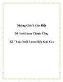 Những chú ý cần biết để nuôi Lươn thành công - Kỹ Thuật Nuôi Lươn Hiệu Quả Cao