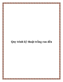 Quy trình kỹ thuật trồng rau dền