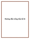 Hướng dẫn trồng bầu hồ lô