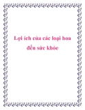 Lợi ích của các loại hoa đến sức khỏe