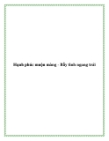 Hạnh phúc muộn màng - Bẫy tình ngang trái