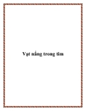 Vạt nắng trong tim