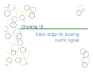 Bài giảng Thương mại quốc tế - Chương 12: Xâm nhập thị trường nước ngoài