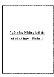 Những bài văn tả cảnh hay nhất – Phần 1