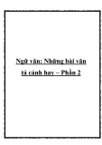 Những bài văn tả cảnh hay nhất – Phần 2