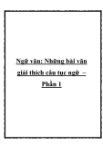 Tổng hợp những bài văn giải thích câu tục ngữ hay nhất – Phần 1