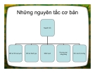Bài giảng: Những nguyên tắc cơ bản trong luật thương mại quốc tế (mới nhất)