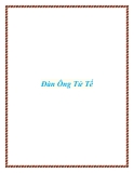 Đàn Ông Tử Tế