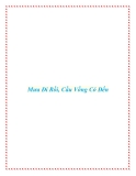 Mưa Đi Rồi, Cầu Vồng Có Đến