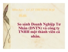 Tiểu luận: So sánh doanh nghiệp tư nhân (DNTN) và công ty TNHH một thành viên cá nhân