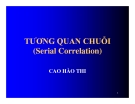 Bài giảng Tương quan chuỗi Cao Hào Thi: Kinh nghiệm và phân tích