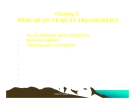 Bài giảng Tổng quan về quản trị Logistics -  PGS.TS. Đoàn Thị Hồng Vân