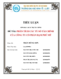 Phân tích tỷ số tài chính công ty cổ phần đạm Phú Mỹ: Tiểu luận chi tiết