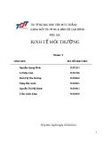 Bài tập nhóm Kinh tế môi trường ĐH Tôn Đức Thắng: Tổng hợp bài tập