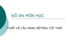 Đồ án môn học: Thiết kế cầu máng bêtông cốt thép