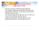 Bài giảng Hệ sinh thái và đa dạng hệ sinh thái chi tiết nhất