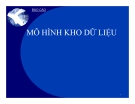 Mô hình kho dữ liệu: Báo cáo [Mới nhất]