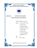Tiểu luận phân tích tài chính: Phân tích khả năng sinh lợi (Mới nhất)