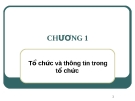 Bài giảng Hệ thống thông tin quản lý Chương 1: ThS. Thái Kim Phụng (mới nhất)