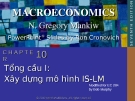 Bài giảng Kinh tế vĩ mô: Chương 10 - N. Gregory Mankiw