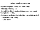 Bài giảng Trường phái Âm Dương gia chuẩn nhất