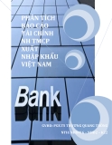 Phân tích báo cáo tài chính ngân hàng thương mại cổ phần xuất nhập khẩu Việt Nam: Tiểu luận chi tiết
