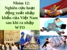 Nghiên cứu hoạt động xuất nhập khẩu của Việt Nam sau khi gia nhập WTO: Bài thuyết trình