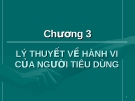 Bài giảng Kinh tế học - Chương 3: Lý thuyết về hành vi người tiêu dùng